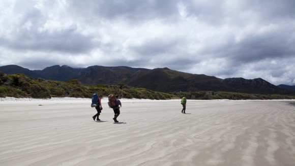 After a short walk to Cox Bight its another 1km along the beach to the Point Eric campsite.